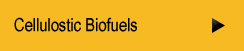 cellulostic biofuels